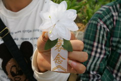 suncitygroup太阳集团(中国)-官方网站