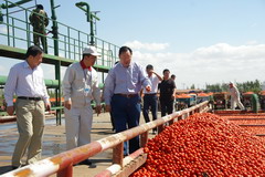 suncitygroup太阳集团(中国)-官方网站