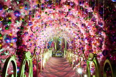 suncitygroup太阳集团(中国)-官方网站