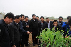 suncitygroup太阳集团(中国)-官方网站