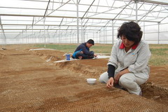 suncitygroup太阳集团(中国)-官方网站