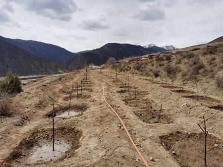 suncitygroup太阳集团(中国)-官方网站